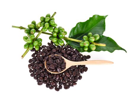 coffee beans isolated on white backgroundの写真素材