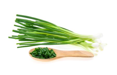 Green onion isolated on the white backgroundの写真素材