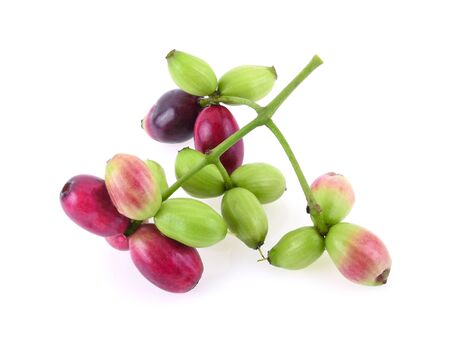 Jambolan plum or Java plum isolated on whiteの写真素材