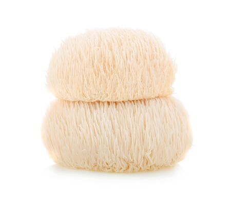 Lion mane mushroom isolated on whiteの写真素材