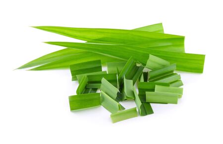 Pandan leaves isolated on white backgroundの写真素材