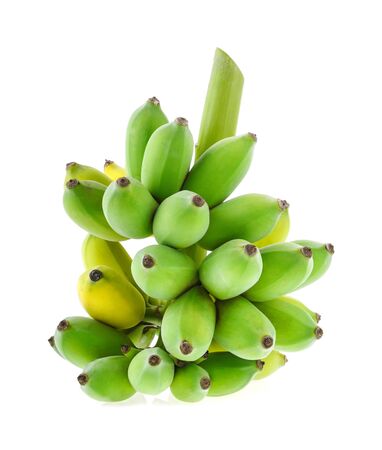 Bunch of banana  isolated on white backgroundの写真素材
