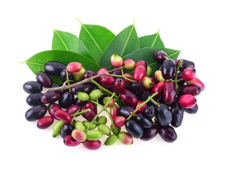 Jambolan plum (Java plum) isolated on whiteの写真素材