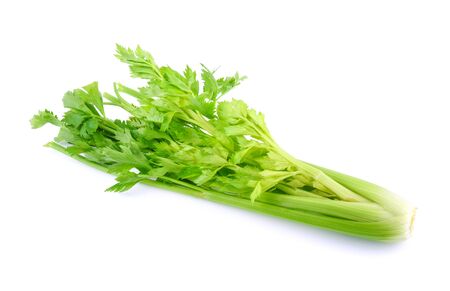 celery isolated on white backgroundの写真素材