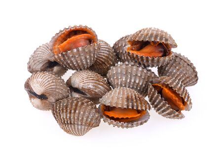 cockles seafood on white backgroundの写真素材
