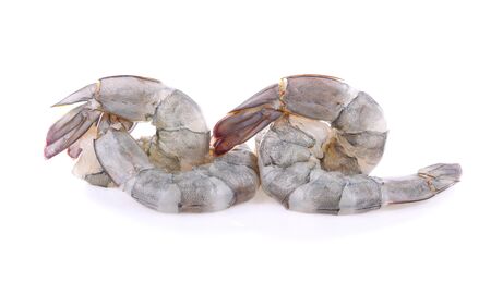 Raw prawns isolated on whiteの写真素材