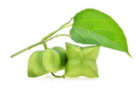 Sacha inchi peanut isolated on whiteの写真素材