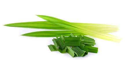 Green tea leaf on white backgroundの写真素材