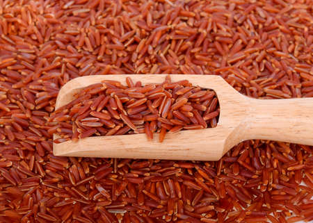 Green tea leaf on white backgroundの写真素材