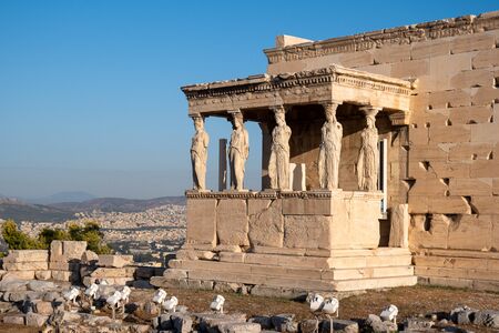 Parthenon at the Acropolis in Athensの写真素材