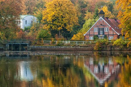 Lake in the Duvenstedter Brook nature reserve in Hamburgの写真素材
