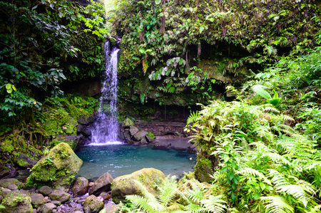A swimmer enjoying Emerald Pool in the lush rain forest, the waterfall is a beautiful jewel of Dominica in the Caribbeanの写真素材