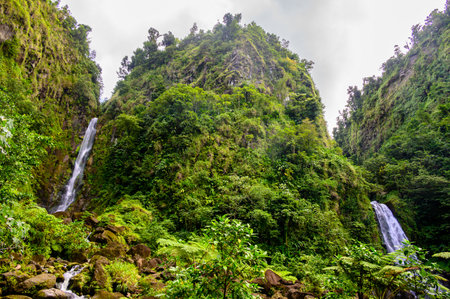 Stunning waterfalls in Dominica, Trafalgar falls, Caribbeanの写真素材