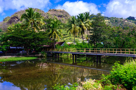 Buccament Bay, St Vincent and the Grenadinesの写真素材