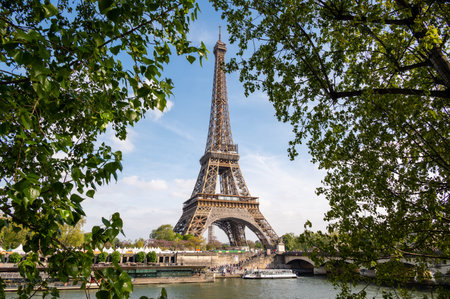 The Eiffel Tower in Paris between treesの写真素材