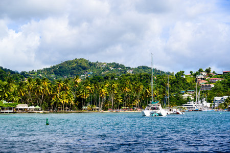 Coast of the Caribbean island of St Luciaの写真素材
