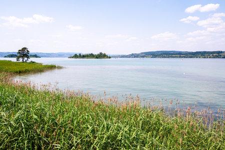 Lake Zurich near Rapperswil, Switzerlandの写真素材