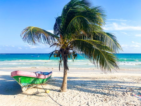 Wooden boat and palm tree on paradisiacal beachの写真素材