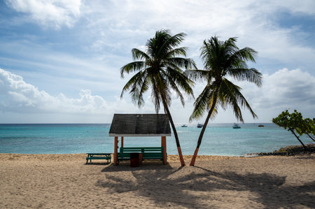 West Bay Beach in Cayman Islands. Beautiful tropical sceneryの写真素材