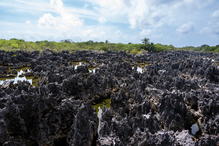 Hell Cayman Islands rock formation parkの写真素材