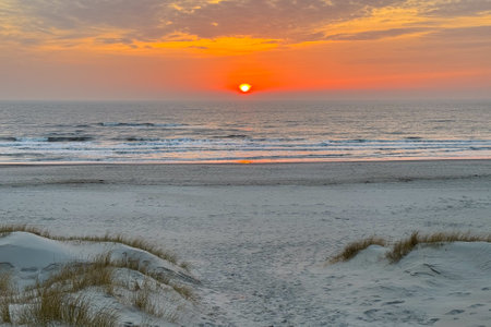 Landscape shot of beautiful sunset in the Dunes of Hvide Sand Denmarkの写真素材
