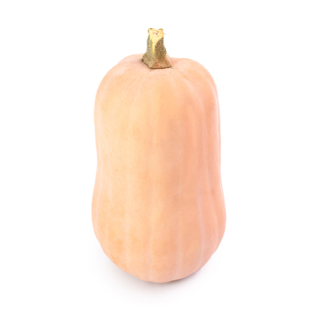 Butternut pumpkin isolated on white backgroundの写真素材