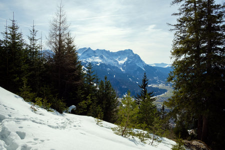 Through a snowy forest in Garmisch-Partenkirchen, towering mountains create a stunning backdrop. The...