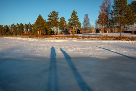 Long shadows stretch across a snow-covered field in Leksand, Dalarna, Sweden. Pine trees and distant cabins create a serene winter atmosphere under a clear blue sky.の写真素材