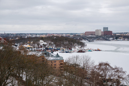 Snow blankets the waterfront of Stockholm, creating a serene winter landscape. Colorful boats are docked amidst the ice, while buildings provide a backdrop on this chilly day.の写真素材