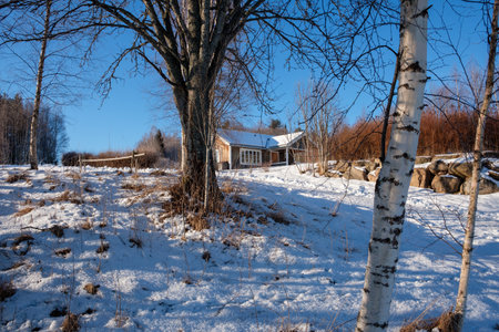 A serene winter day in VÃ¤stanvik, Dalarna features a snow-laden landscape. A cozy wooden house is nestled among birch trees, reflecting the peaceful beauty of the snowy surroundings.の写真素材