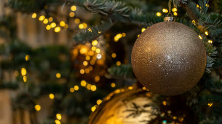 Golden Bauballs hanging from a Christmas treeの写真素材