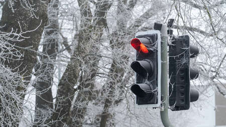 A traffic light on red on an icy morningの写真素材