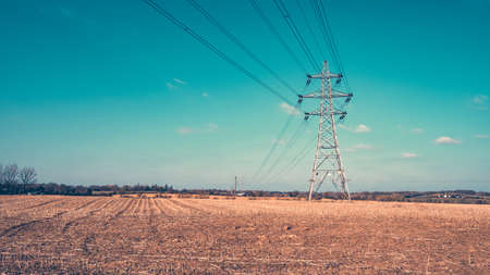 Power lines cross cut cornfields in the springの写真素材