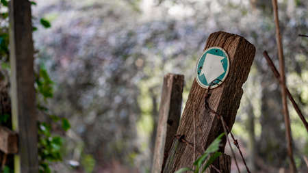 Close up of an Old worn footpath sign in the middle of a woodの写真素材