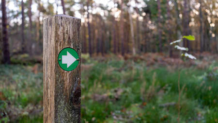 Green hiking trail marker pointing the direction in the woodsの写真素材