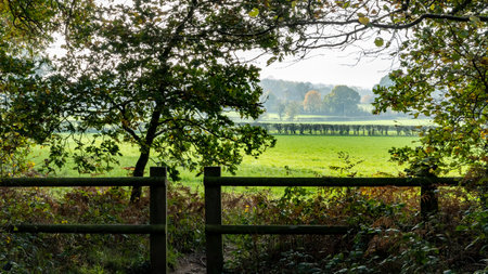 Looking out at the countryside from behind a fenceの写真素材