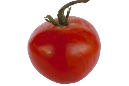 Single tomato isolated on white backgroundの写真素材