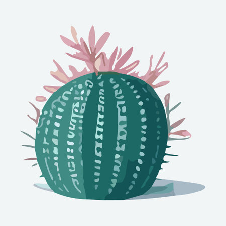 Cactus with succulents. Vector illustration in flat style.の写真素材