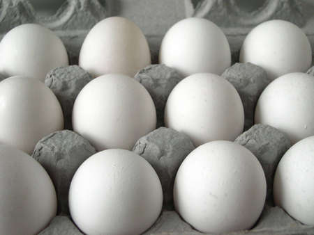 Eggs in cartonの写真素材