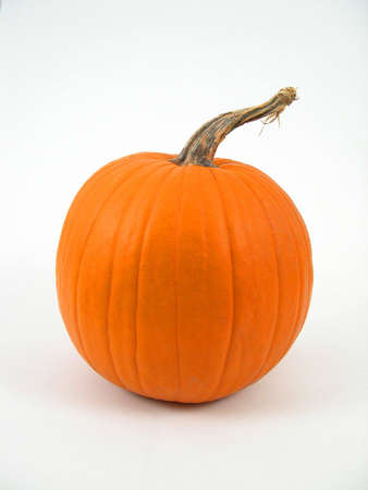 Pumpkin on white backgroundの写真素材