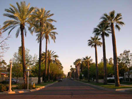 Arizona residential areaの写真素材