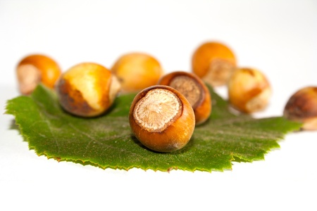 Hazelnutsの写真素材