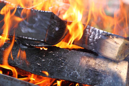 Birch woodpile, fire wood of birch