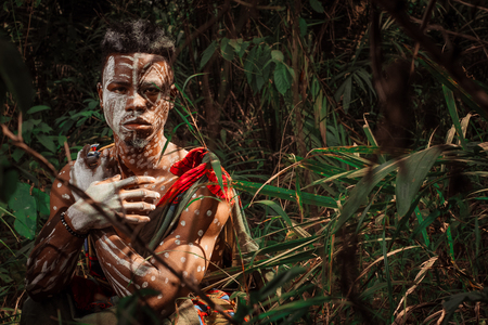 Cold in the forstの写真素材