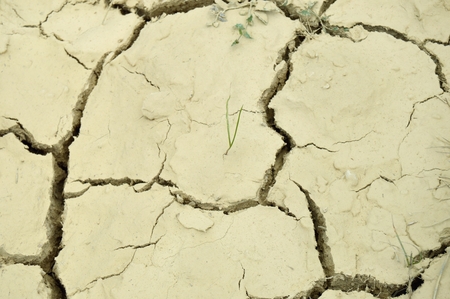 Dry dehydrated bottomの写真素材