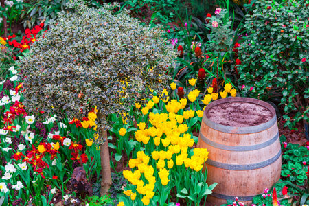 A barrel and holly tree in a garden full of tropical flowers and shrubs