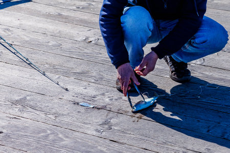 A fisherman handles a landed herring on the pier with tongs.
