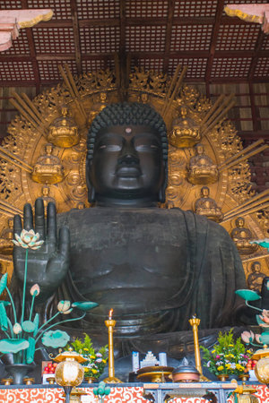 The giant, sitting Buddha statue inside Todaiji Temple.の写真素材