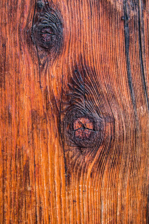 Close up an ancient tree in Japan revealing its texturesの写真素材