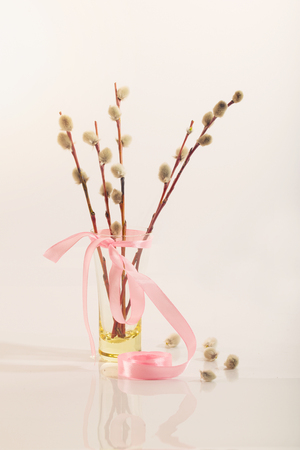 Willow branches with a pink tape in a transparent vase. A bouquet for a Palm Sunday, a white background, a wooden white table, soft focusの写真素材